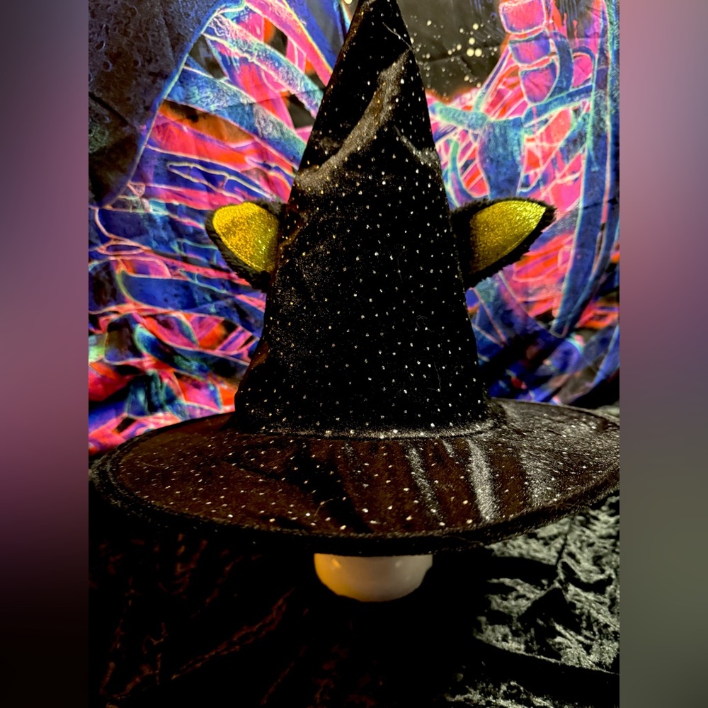 Halloween Witch Hat Costume Hat with Ears